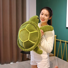 Lade das Bild in den Galerie-Viewer, XL Schildkröten Kuscheltier | Niedliche Schildkröten in verschiedenen Größen - [product_type - selley.de