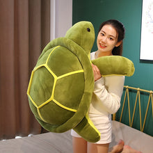 Lade das Bild in den Galerie-Viewer, XL Schildkröten Kuscheltier | Niedliche Schildkröten in verschiedenen Größen - [product_type - selley.de