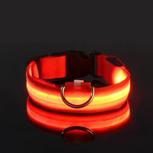 Lade das Bild in den Galerie-Viewer, LED Halsband | Leuchtend &amp; Sicher bei Nacht für ihren Liebling - [product_type - selley.de
