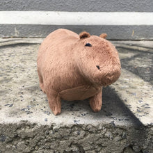 Lade das Bild in den Galerie-Viewer, Wasserschwein Kuscheltier Capybara | Plushie - [product_type - selley.de
