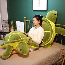 Lade das Bild in den Galerie-Viewer, XL Schildkröten Kuscheltier | Niedliche Schildkröten in verschiedenen Größen - [product_type - selley.de
