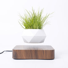 Lade das Bild in den Galerie-Viewer, Schwebender Blumentopf | Magnetischer Pflanzen Topf - [product_type - selley.de
