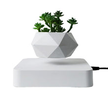 Lade das Bild in den Galerie-Viewer, Schwebender Blumentopf | Magnetischer Pflanzen Topf - [product_type - selley.de
