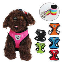 Lade das Bild in den Galerie-Viewer, Geschirr und Leine für Hunde &amp; Katzen - [product_type - selley.de
