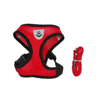 Lade das Bild in den Galerie-Viewer, Geschirr und Leine für Hunde &amp; Katzen - [product_type - selley.de
