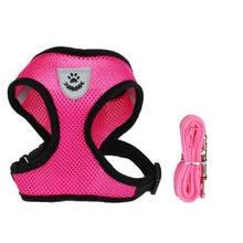 Lade das Bild in den Galerie-Viewer, Geschirr und Leine für Hunde &amp; Katzen - [product_type - selley.de

